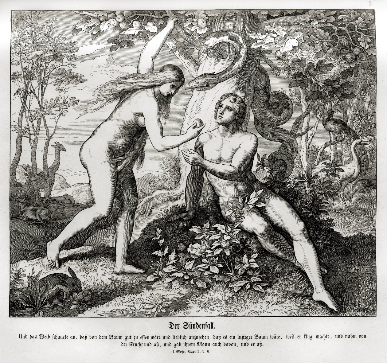 La caída, Génesis de Julius Schnorr von Carolsfeld