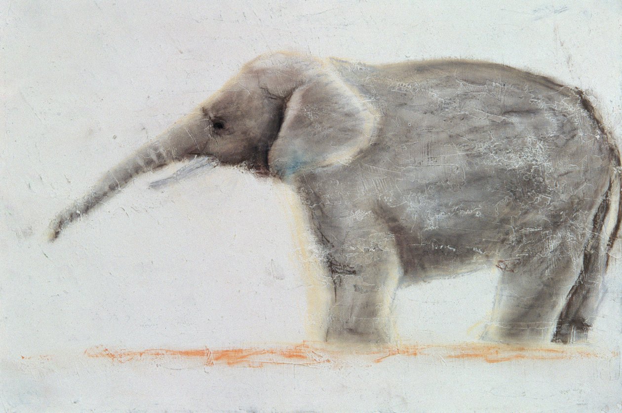 Elefante de Jung Sook Nam