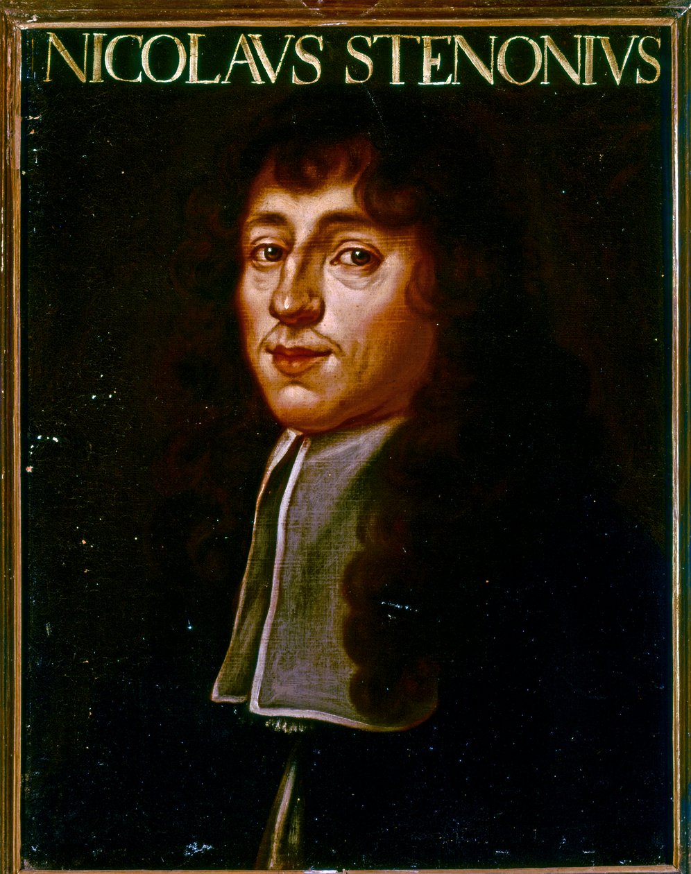Retrato de Nicolas Steno (óleo) de Justus Sustermans