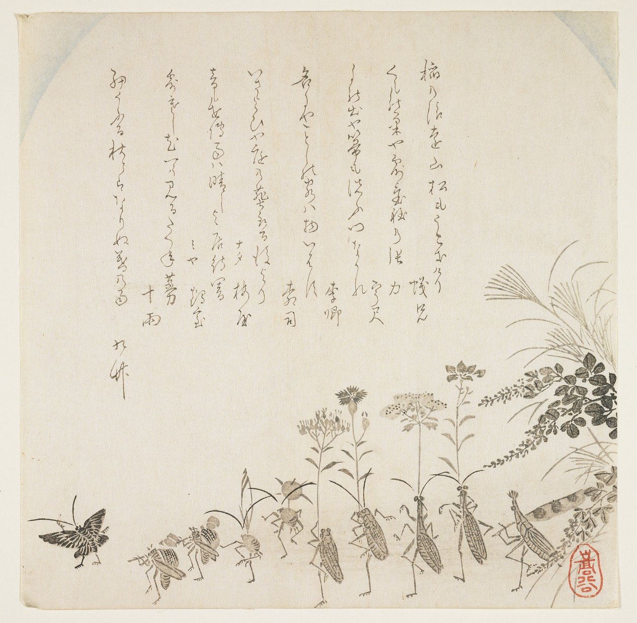 Flores de otoño e insectos cantores, c.1854-59 de K II Skoku