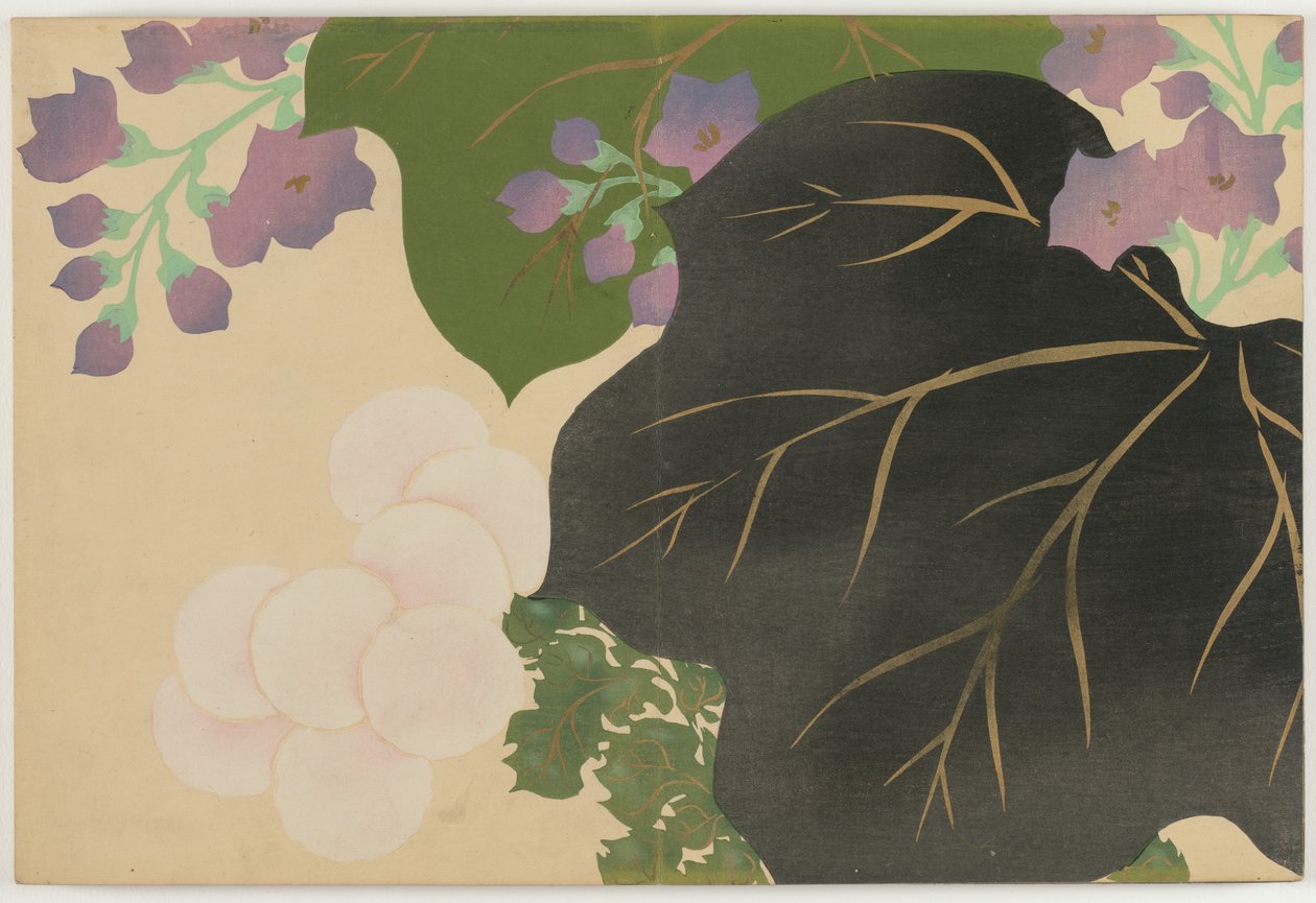 Flowers of a Hundred Worlds (Momoyogusa): Chrysanthemum and Paulownia (Kikukiri) de Kamisaka Sekka