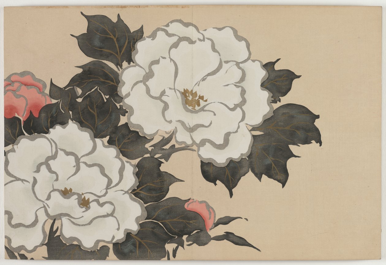 Flowers of a Hundred Worlds (Momoyogusa): Peonies (Fukamigusa) de Kamisaka Sekka
