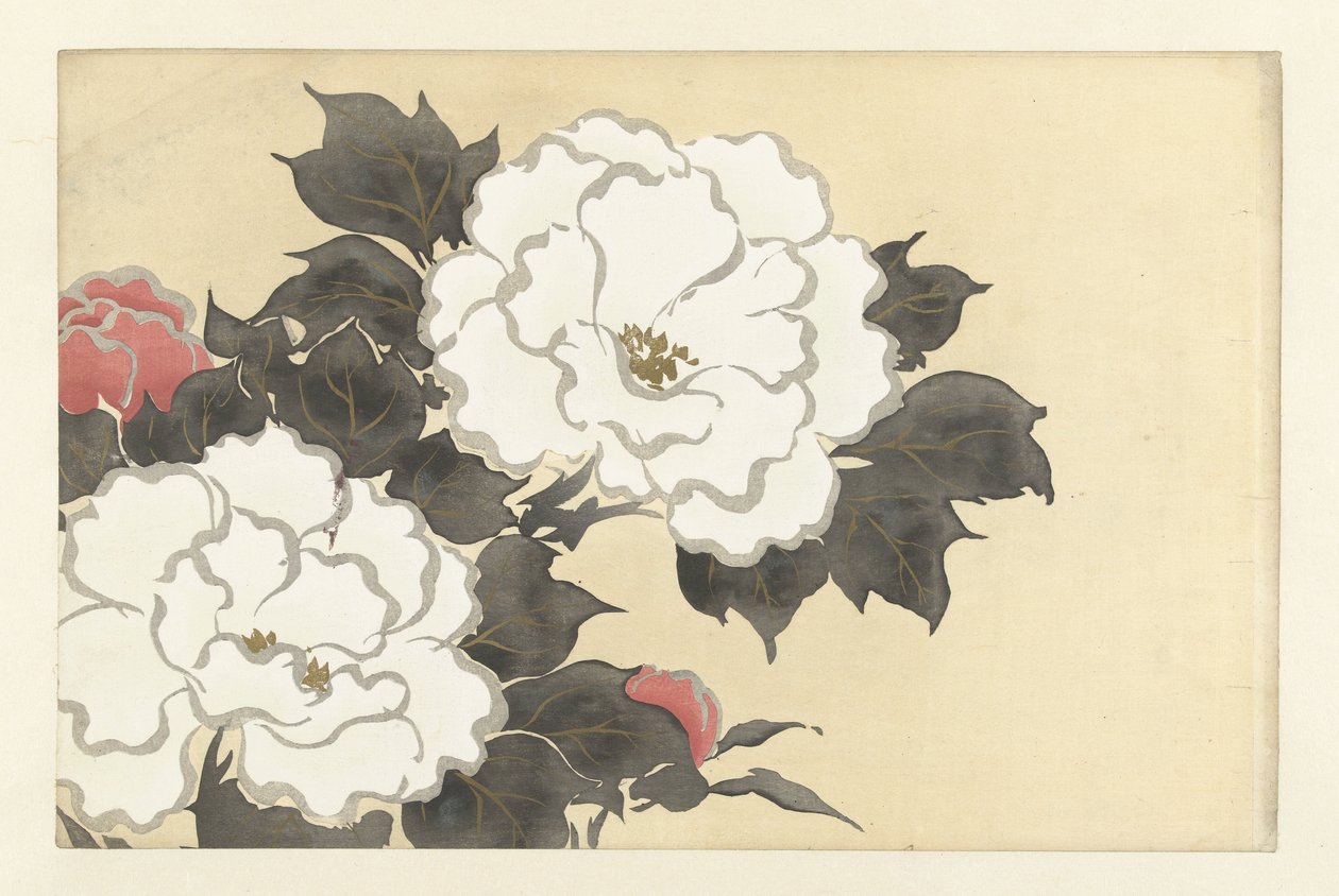 peonias fukamigusa Flores de cien mundos (título de la serie) Momoyogusa, vol. 1 (título de la serie) de Kamisaka Sekka