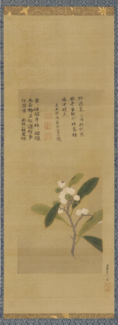 Una rama de nísperos, período Edo, siglo XVIII de Kanô Eisen