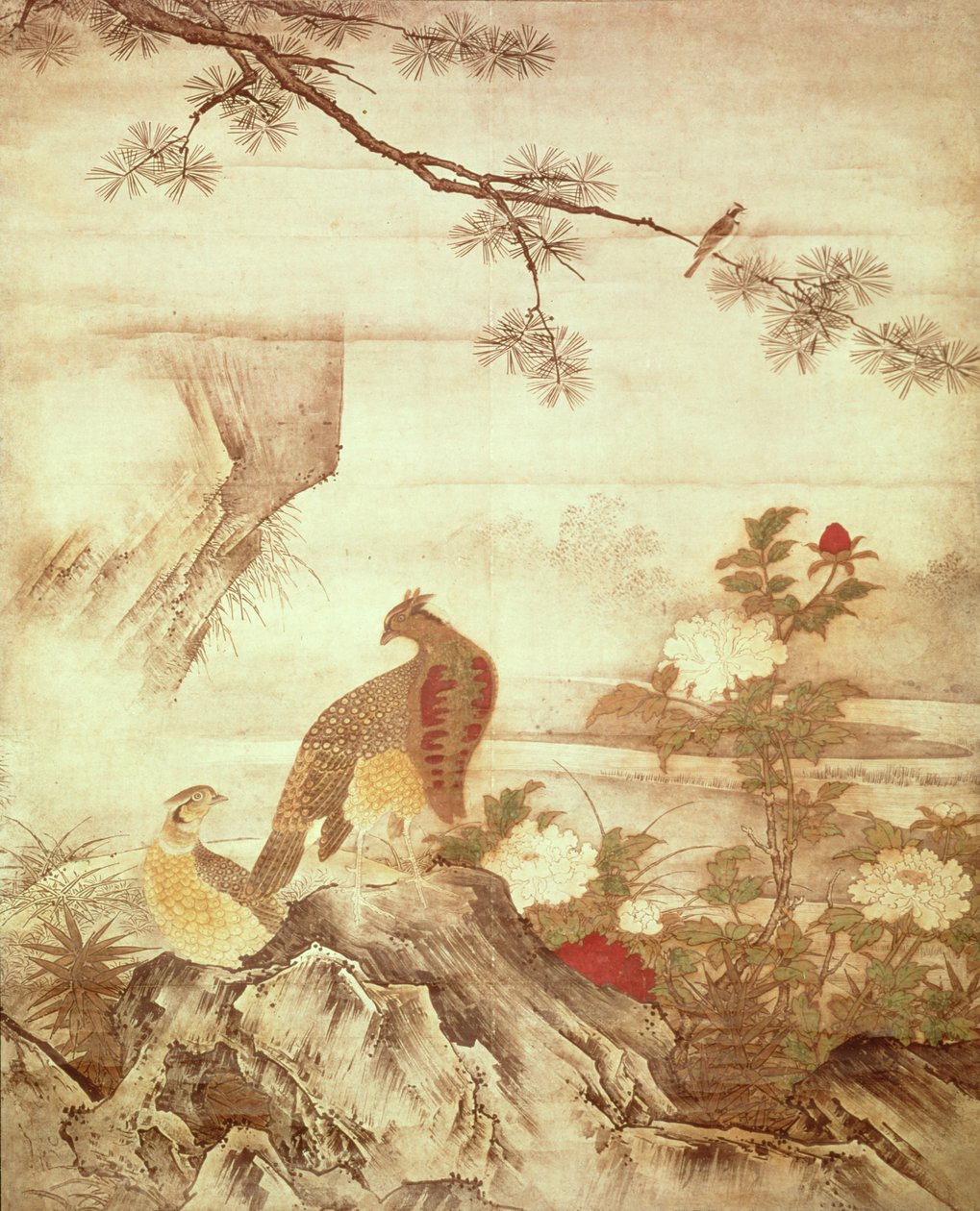 Faisanes y peonías, de una serie de pergaminos que representan Aves y Flores de las Cuatro Estaciones, Período Muromachi de Kano Motonobu