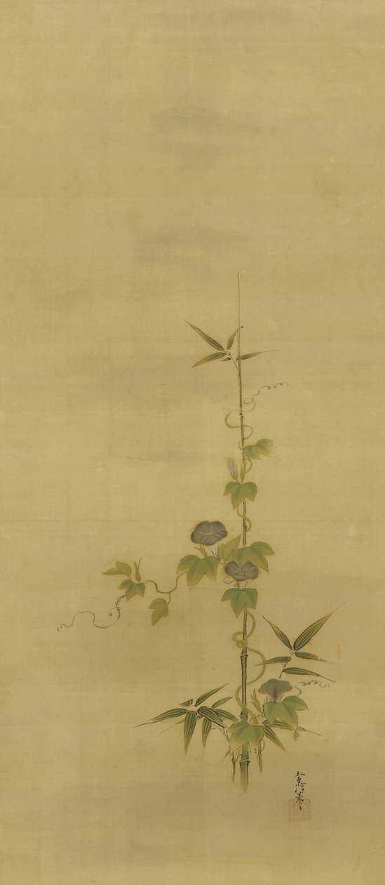 Bambú y glorias de la mañana, período Edo, mediados del siglo XVII a principios del siglo XVIII de Kano Tsunenobu