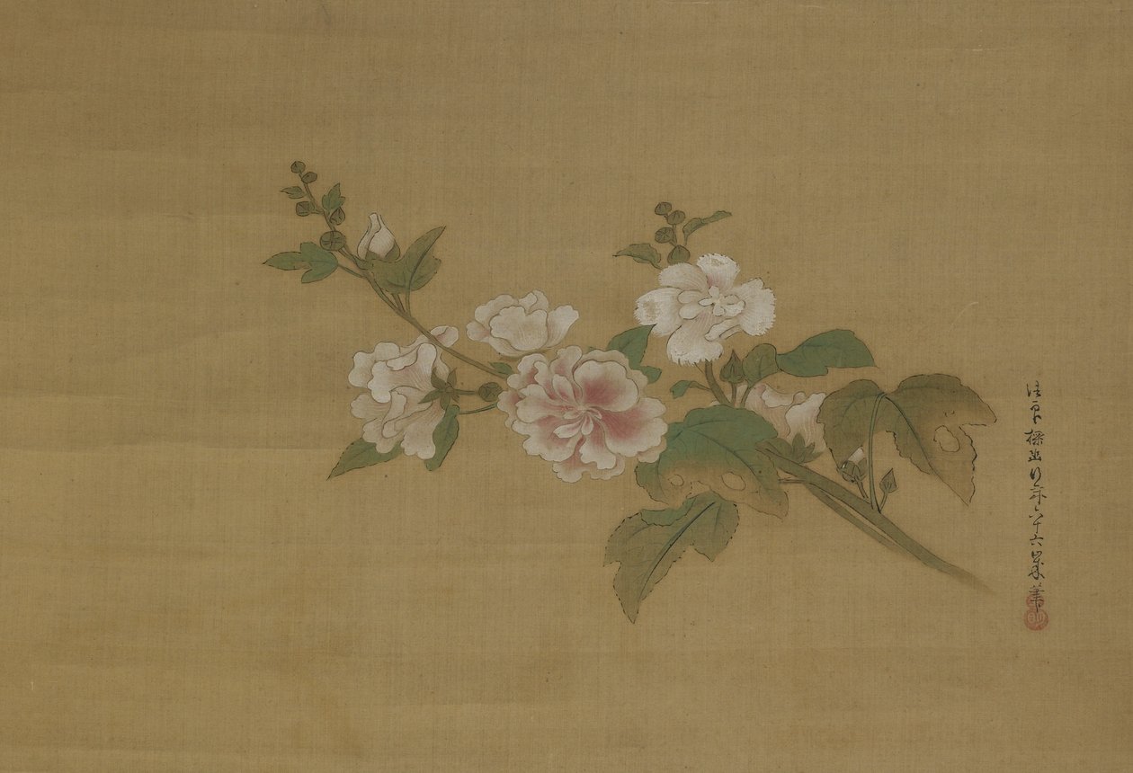 Una rama de hibisco en flor, Período Edo de Kano Tanyu