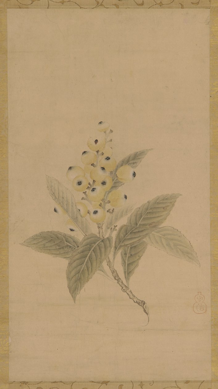Una rama de nísperos, período Edo, siglo XVII de Kanō Tan’yū