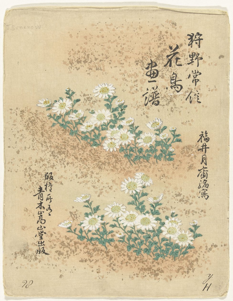Índice Bocetos de flores y pájaros de Kano Tsunenobu (título de la serie) Kano Tsunenobu kacho gafu (título de la serie en el objeto) de Kano Tsunenobu