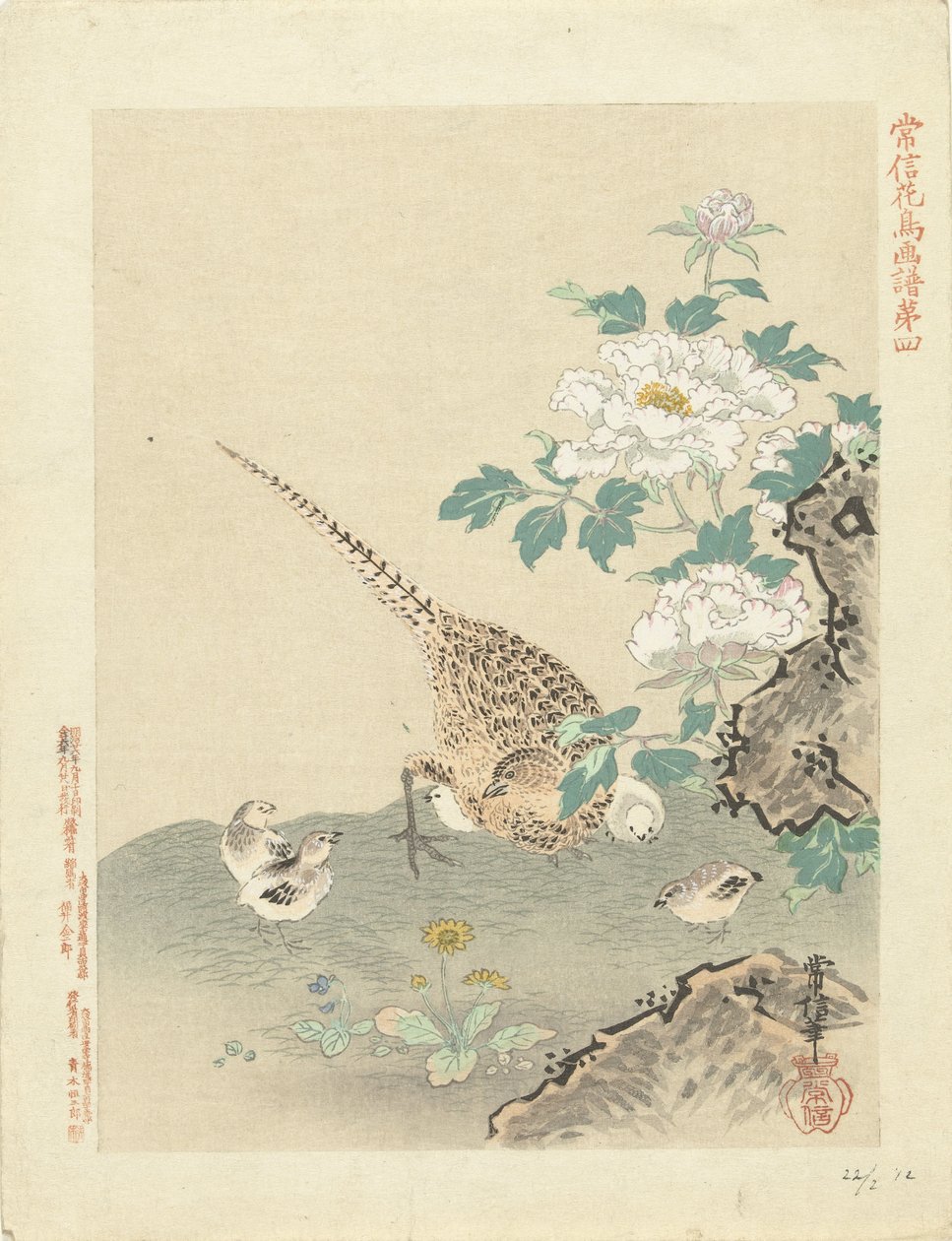 codorniz con pollitos Bocetos de flores y pájaros de Kano Tsunenobu (título de la serie) Kano Tsunenobu kacho gafu (título de la serie en el objeto) de Kano Tsunenobu