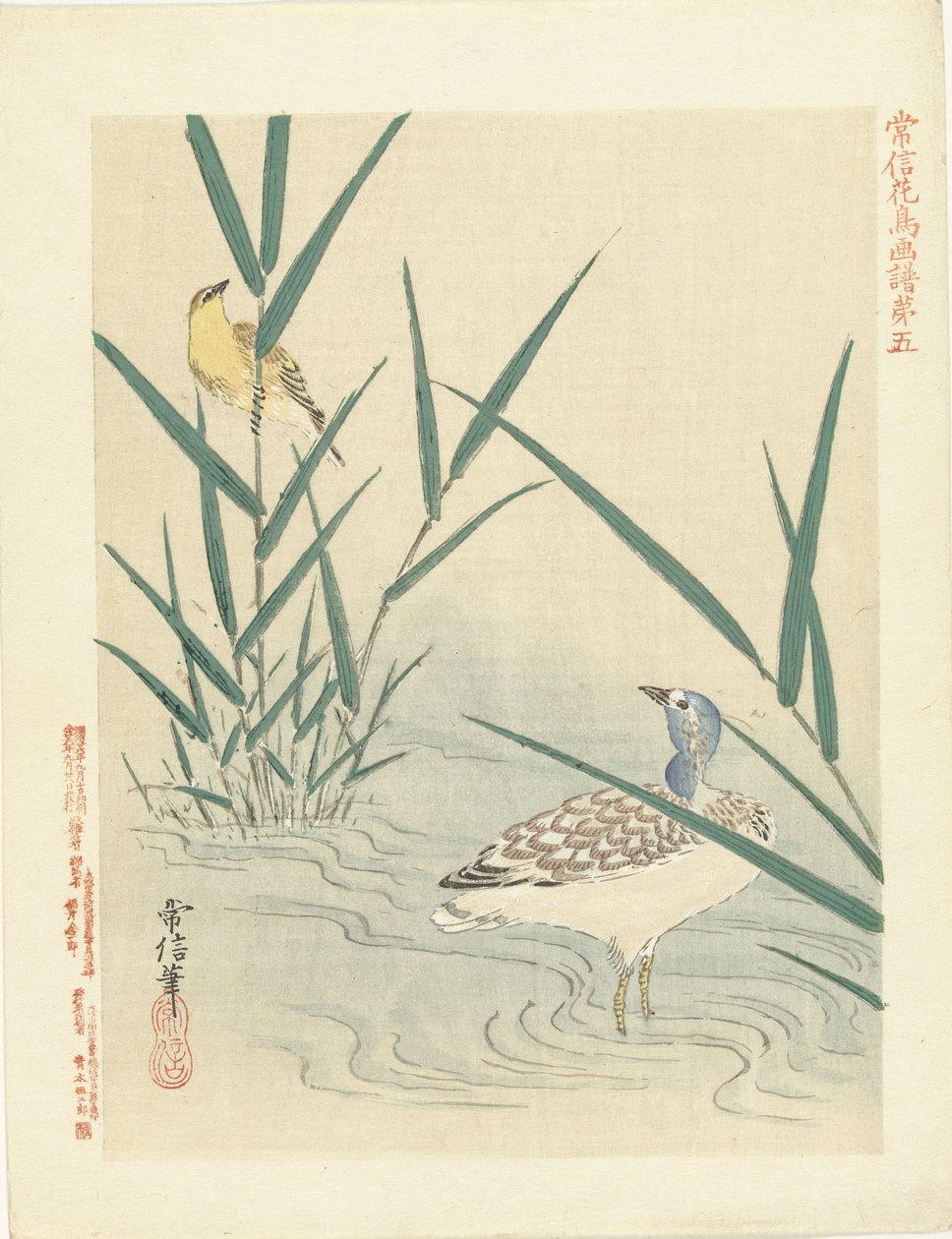 Pájaro acuático mirando pájaro cantor amarillo Bocetos de flores y pájaros de Kano Tsunenobu (título de la serie) Kano Tsunenobu kacho gafu (título de la serie en el objeto) de Kano Tsunenobu