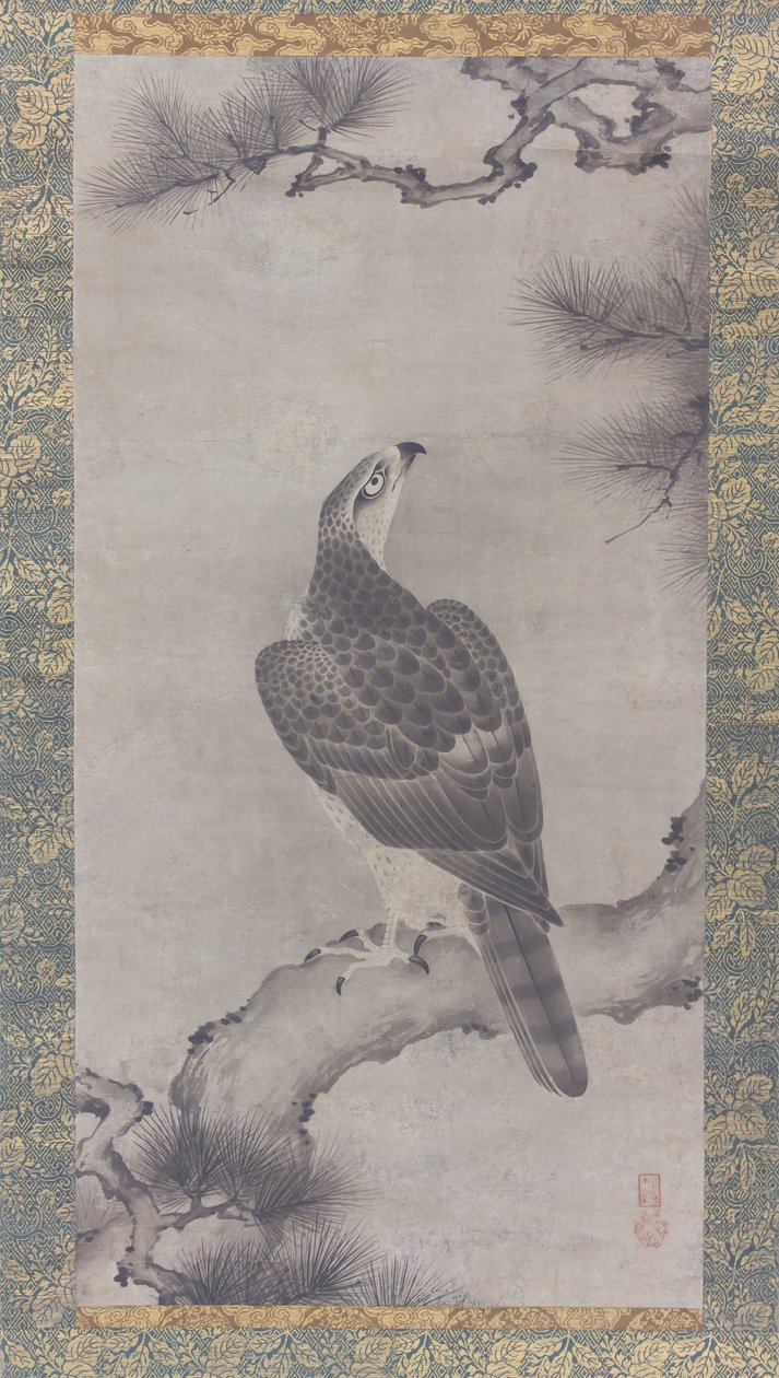 Halcón en un pino Shoo zu, siglo XVI de Kano Yukinobu