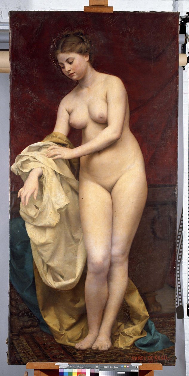 Bañista de Karel De Kesel