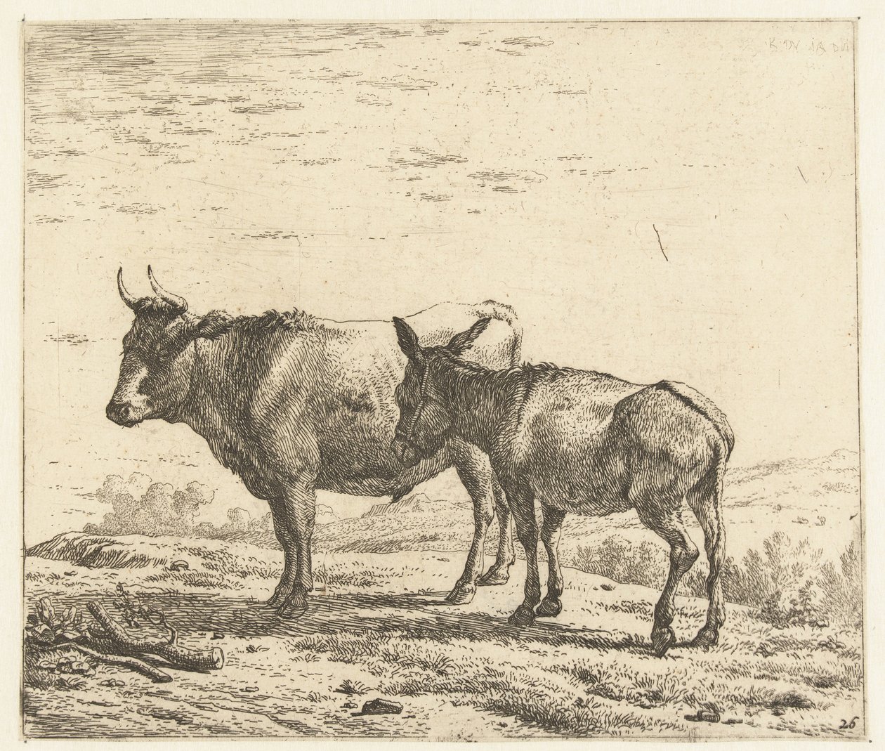 buey y un burro de Karel Du Jardin