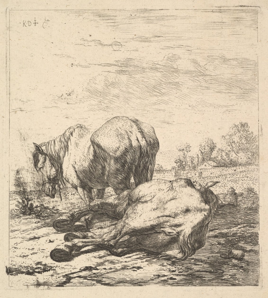 Los dos caballos, siglo XVII de Karel Du Jardin
