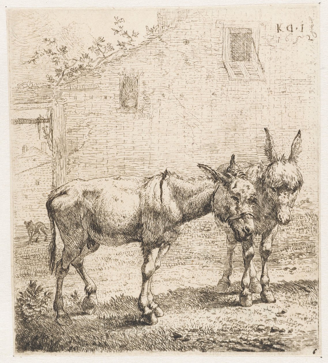 dos burros Animales (título de la serie) de Karel Du Jardin