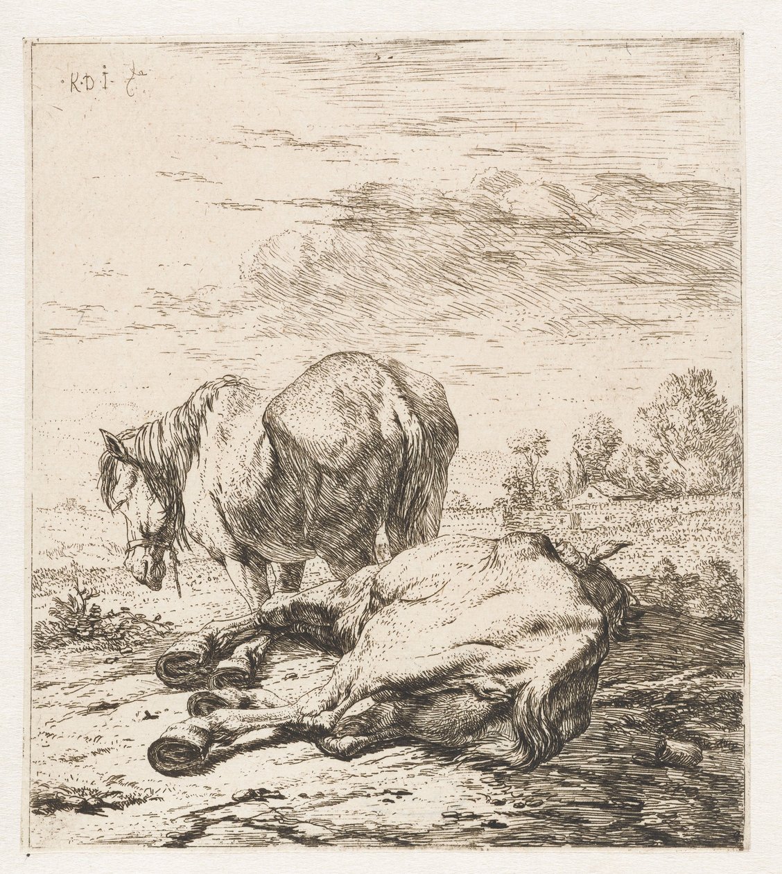 Dos caballos Animales (título de la serie) de Karel Du Jardin