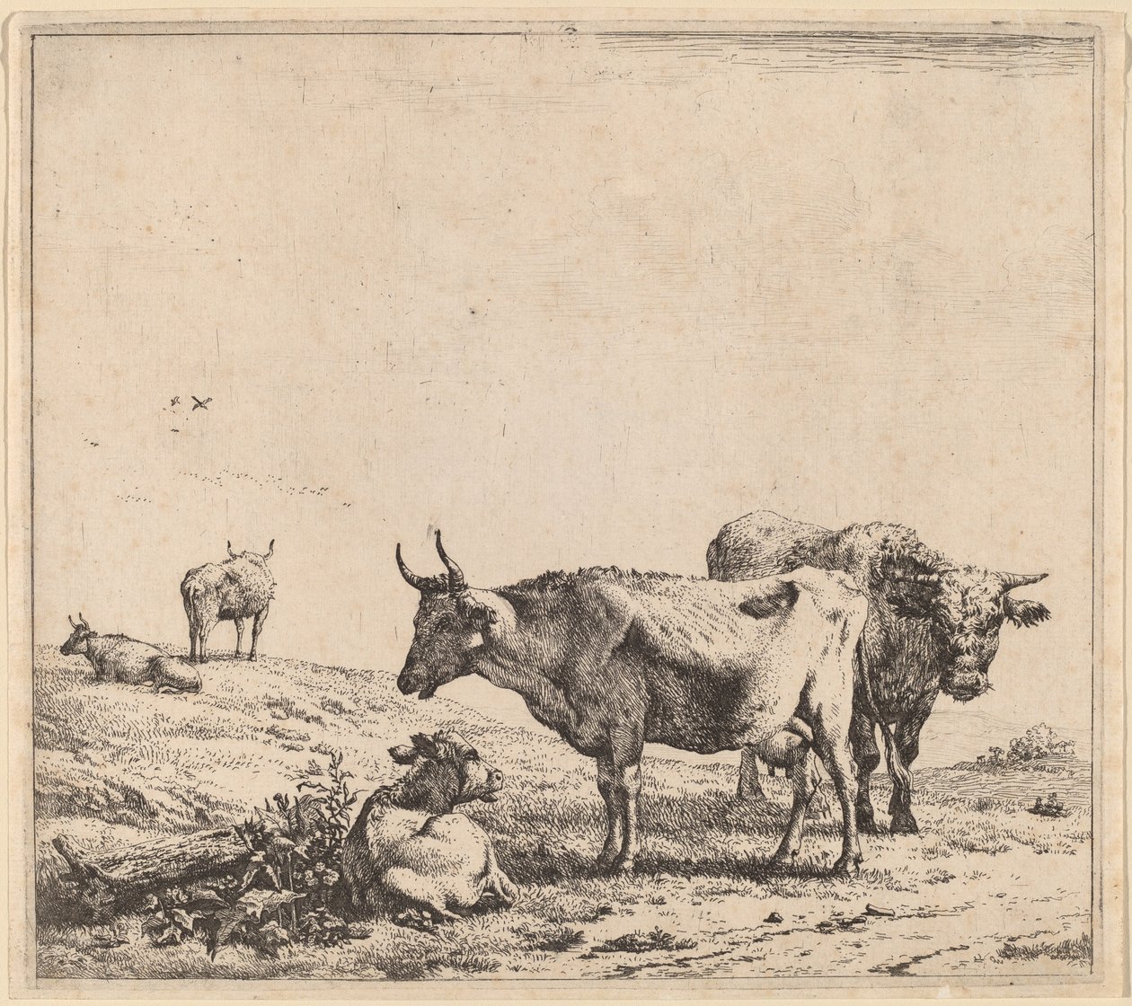 Vaca, toro y ternero de Karel Dujardin