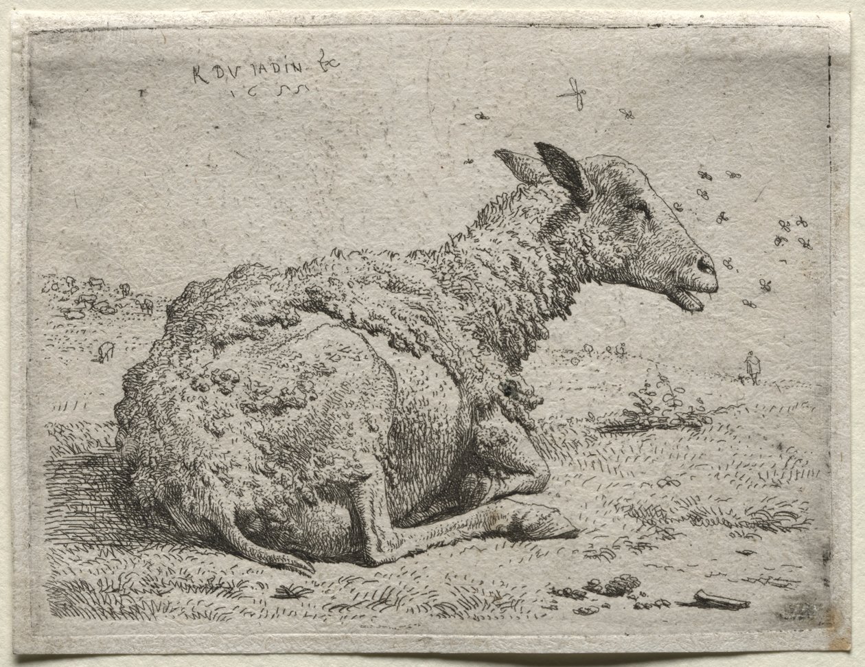 Las ovejas y las moscas de Karel Dujardin