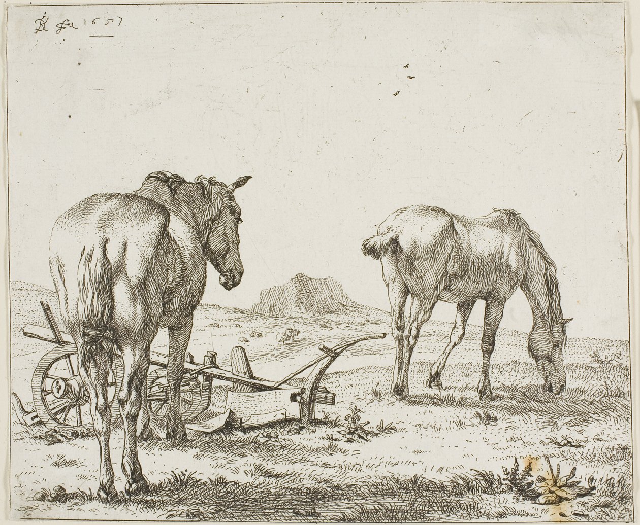 Dos caballos junto a un arado de Karel Dujardin