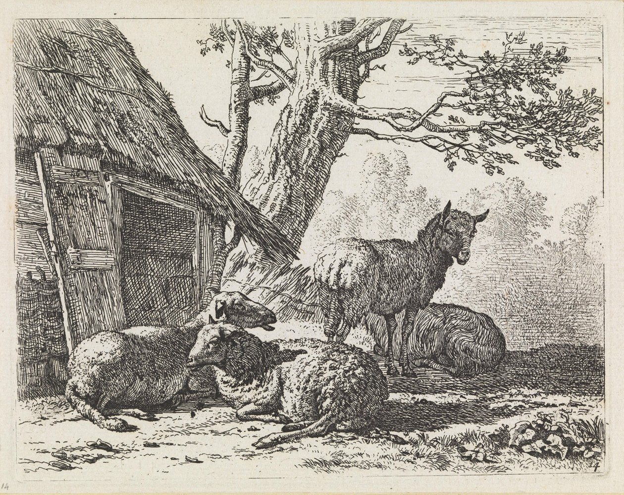 Cuatro ovejas de Karel Dujardin