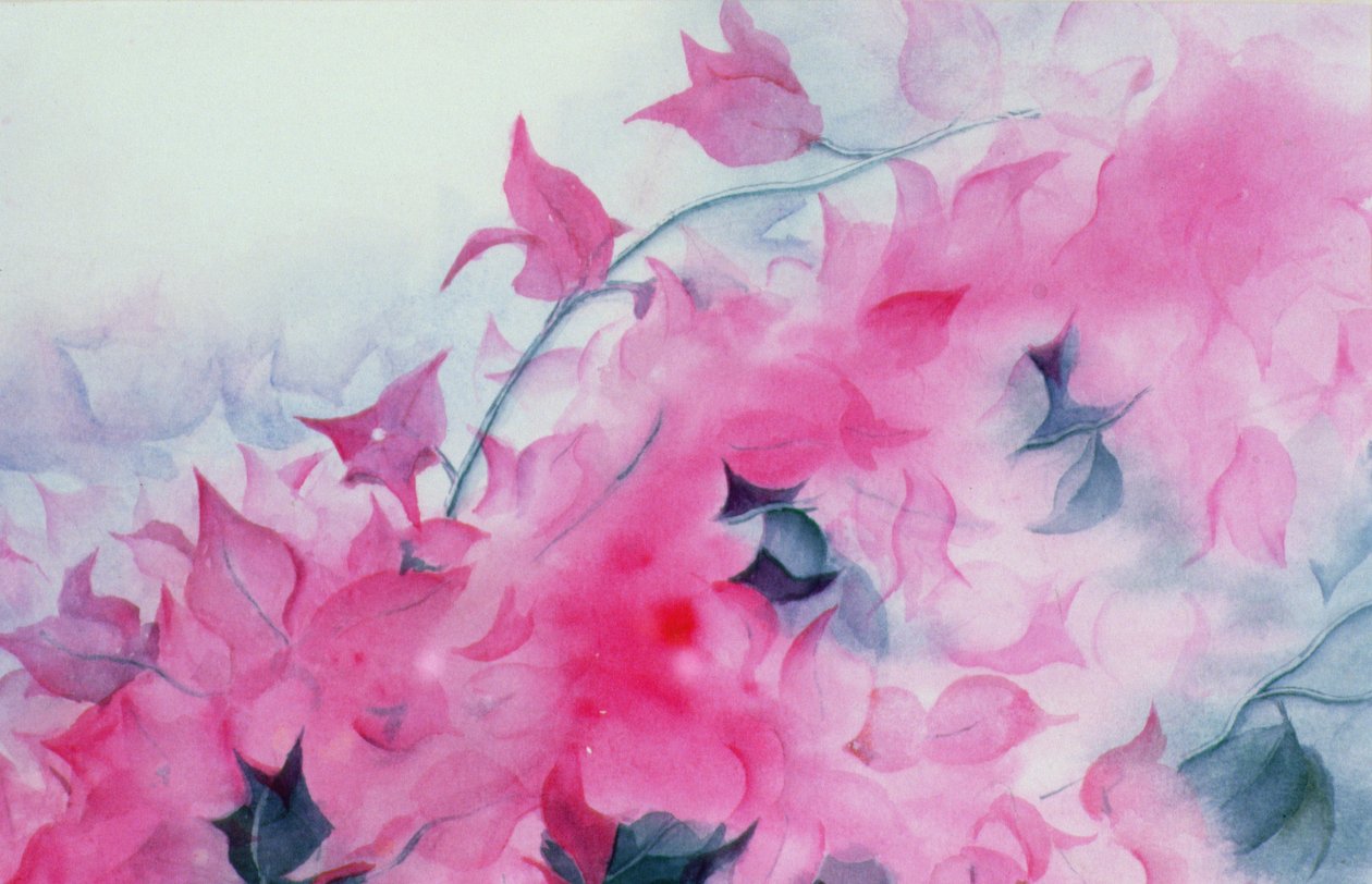 Bugambilia de Karen Armitage
