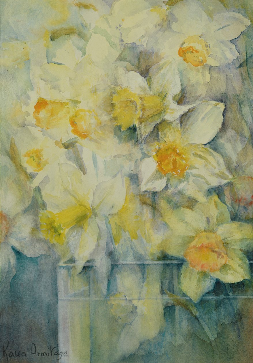 Primavera, narcisos mixtos en tanque No 3., Sra. Krelage, Ice Follies y Fortune de Karen Armitage