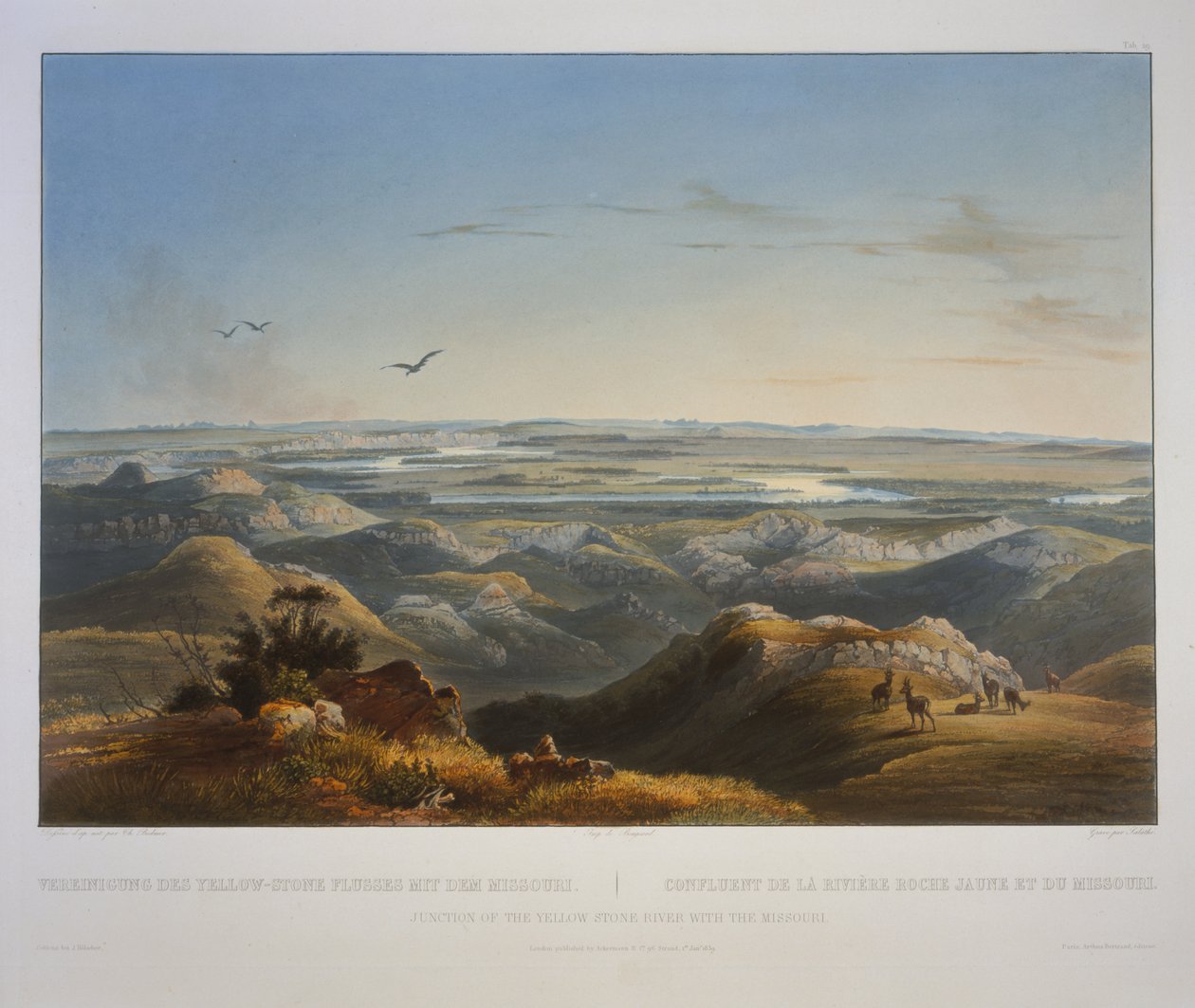 Unión del Río Yellowstone con el Missouri de Karl Bodmer