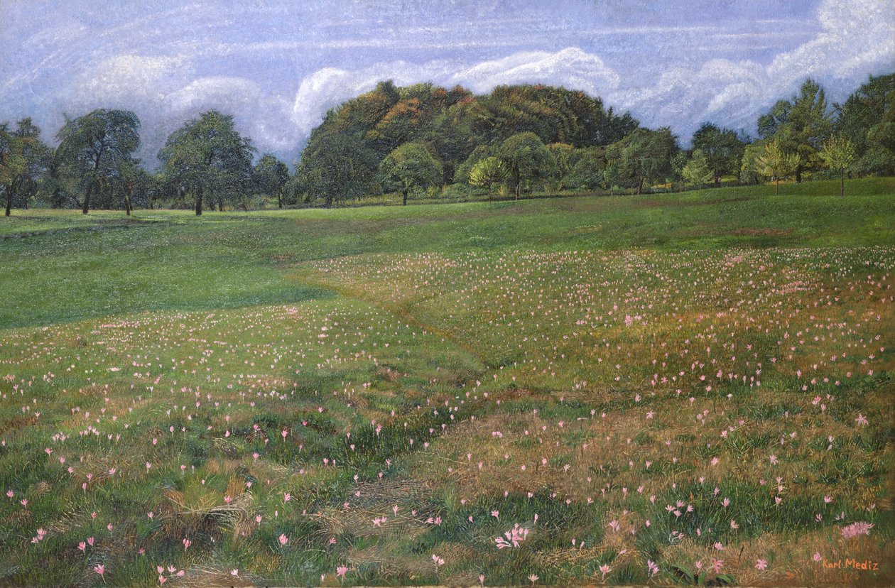 Un campo de azafrán de otoño, 1908 de Karl Mediz