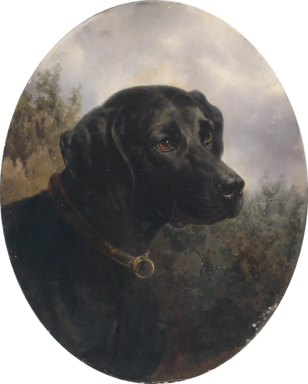 Héctor, perro de muestra de Arthur Ritter v. Schnapper de Karl Reichert