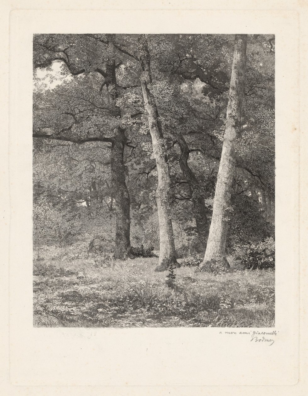 Un claro en el bosque de Karl Bodmer