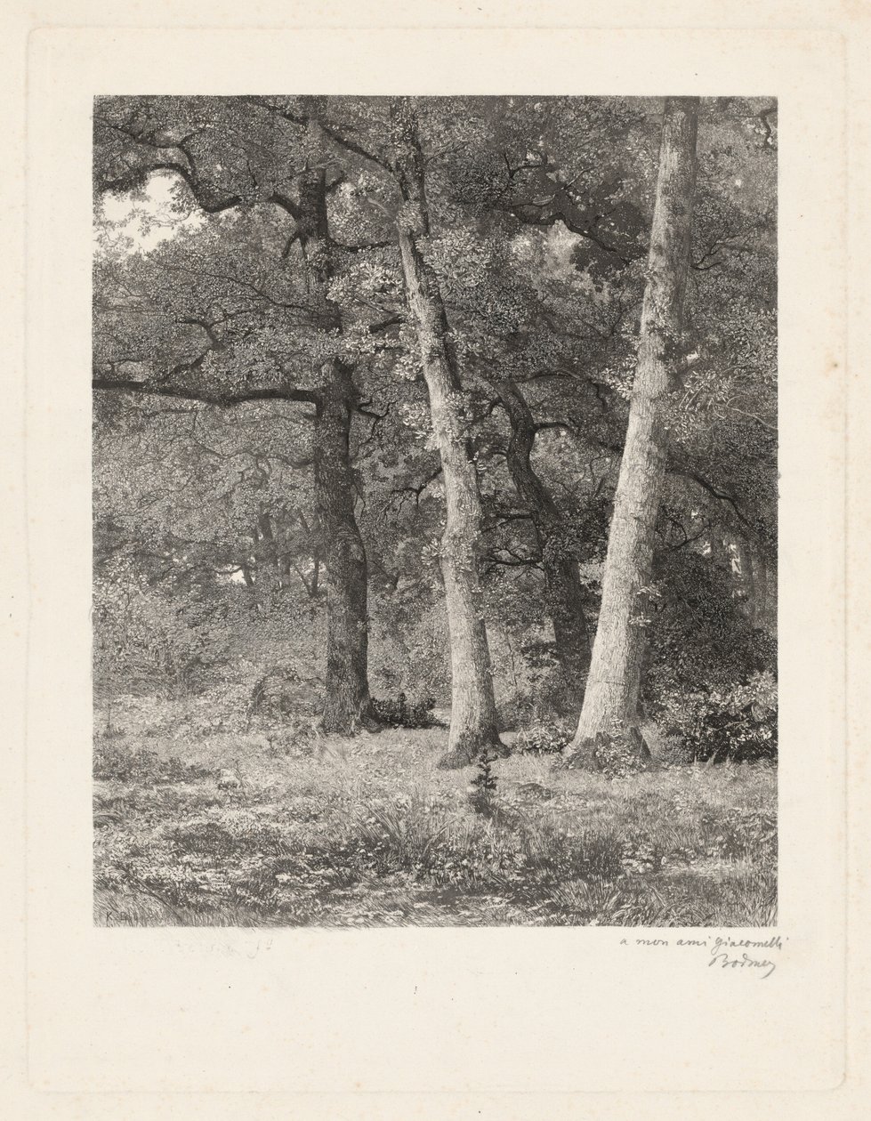 Un claro en el bosque de Karl Bodmer