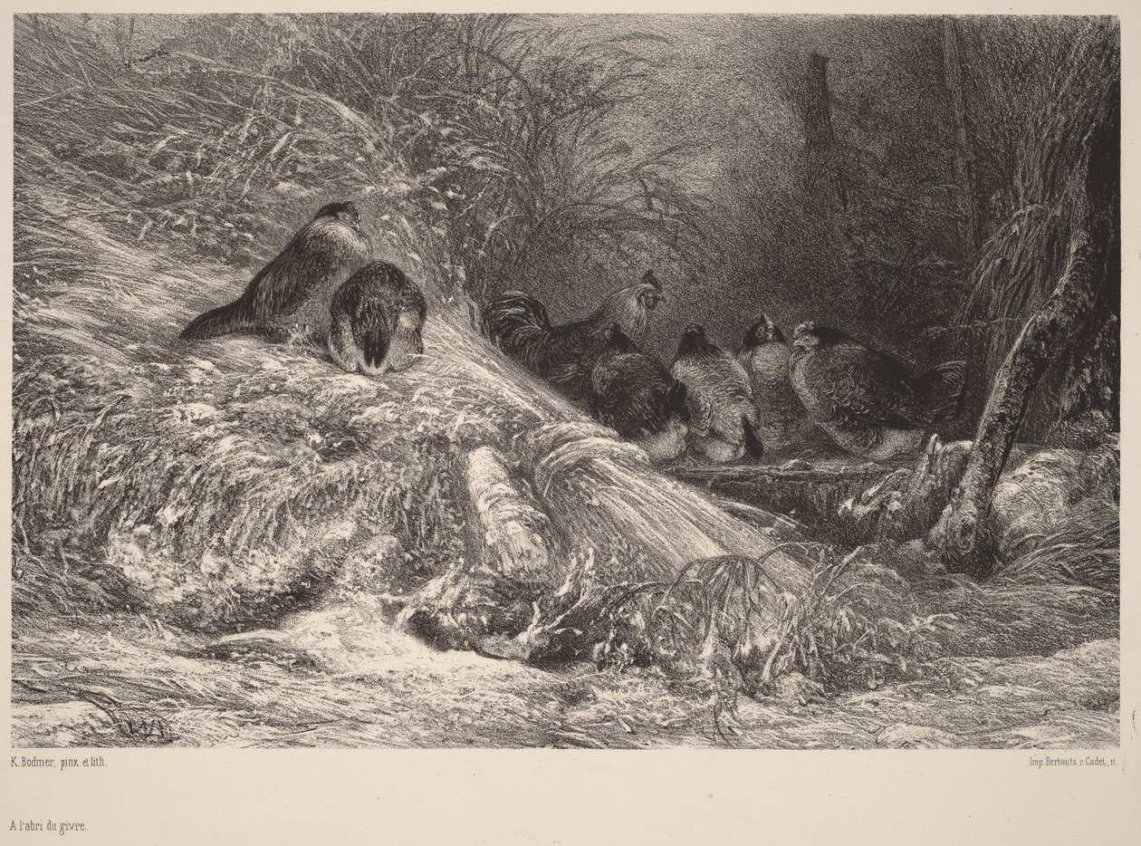 A salvo de las heladas de Karl Bodmer