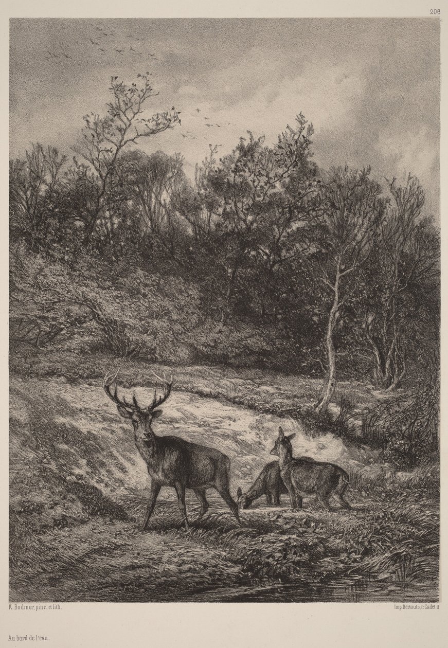 A orillas del agua de Karl Bodmer