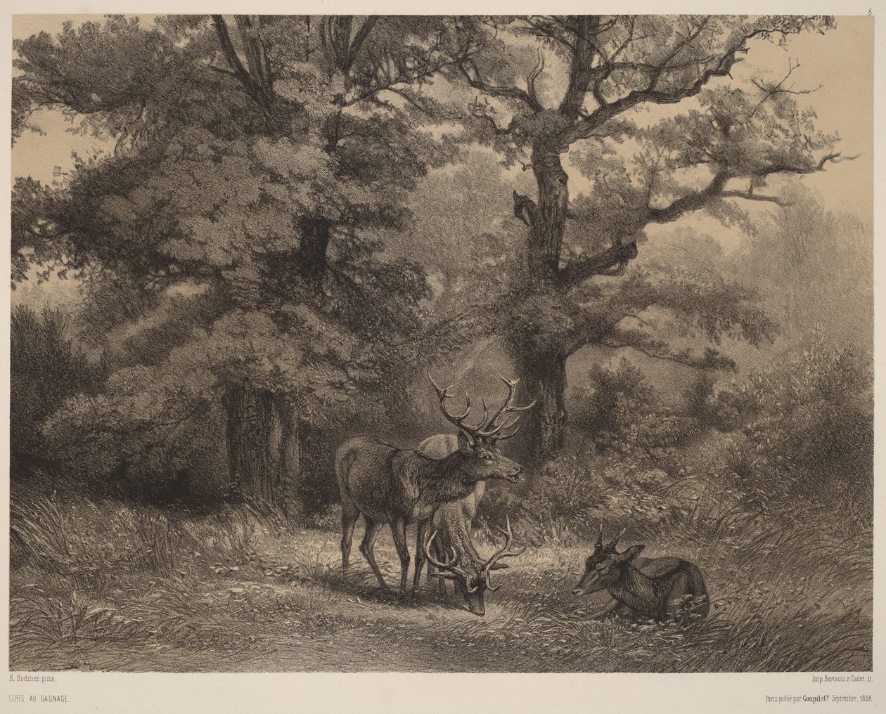 Ciervos pastando de Karl Bodmer