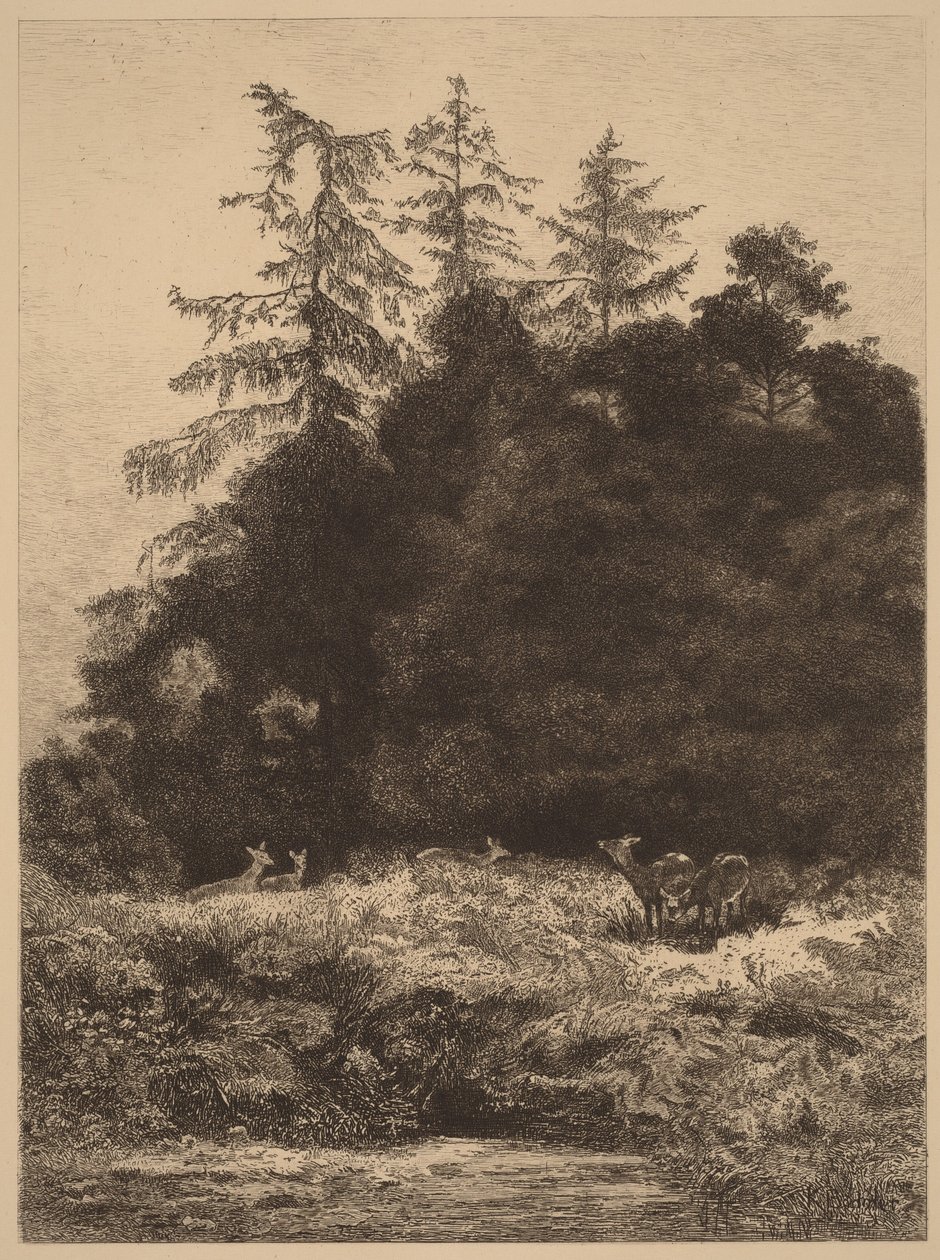 Gamos en un parque de Karl Bodmer