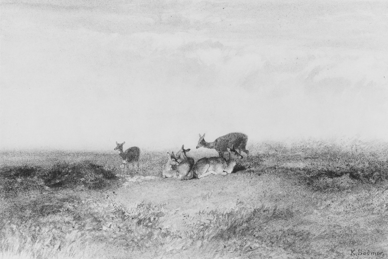 Un ciervo en un paisaje de Karl Bodmer