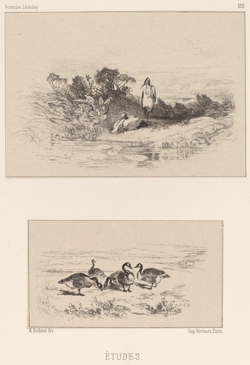 Estudios de Karl Bodmer