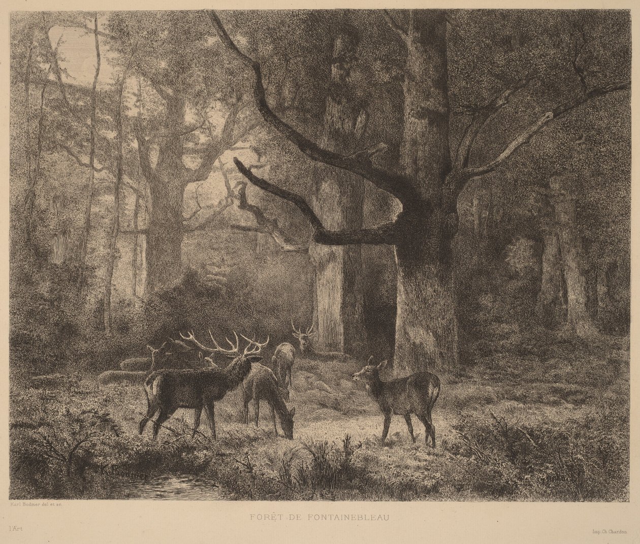Bosque de Fontainebleau de Karl Bodmer