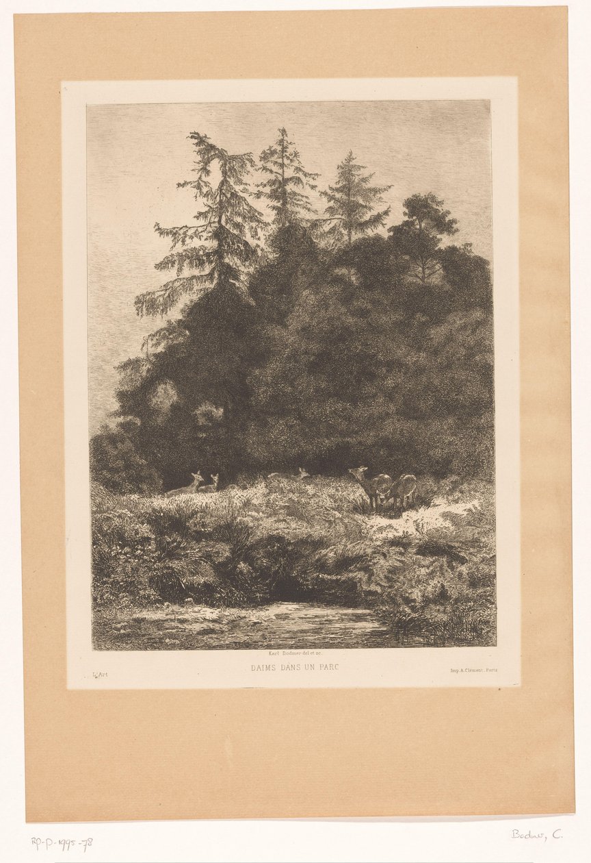 Ciervos en la linde de un bosque
Daims dans un parc (título en el objeto) de Karl Bodmer