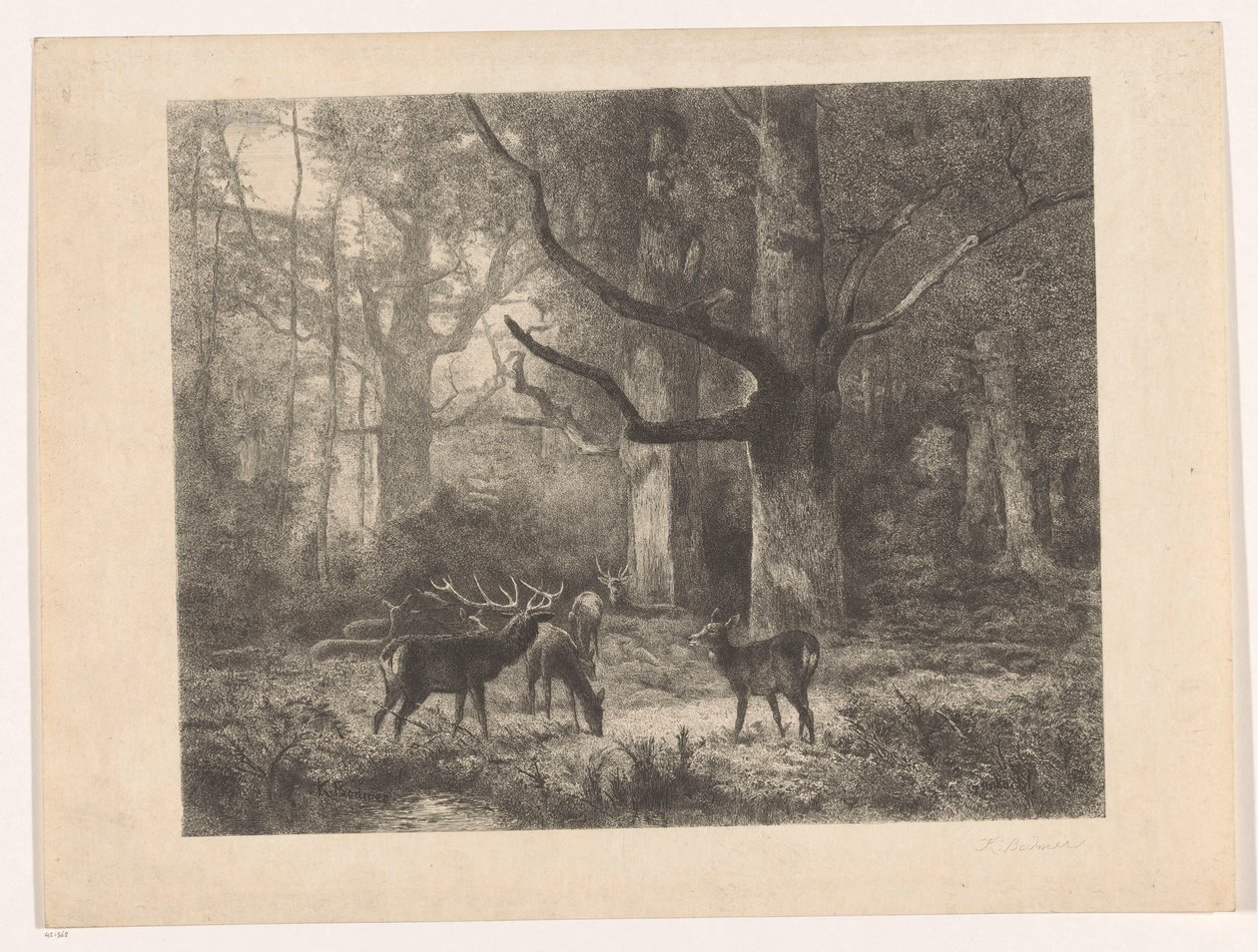 Ciervo en un bosque de Karl Bodmer