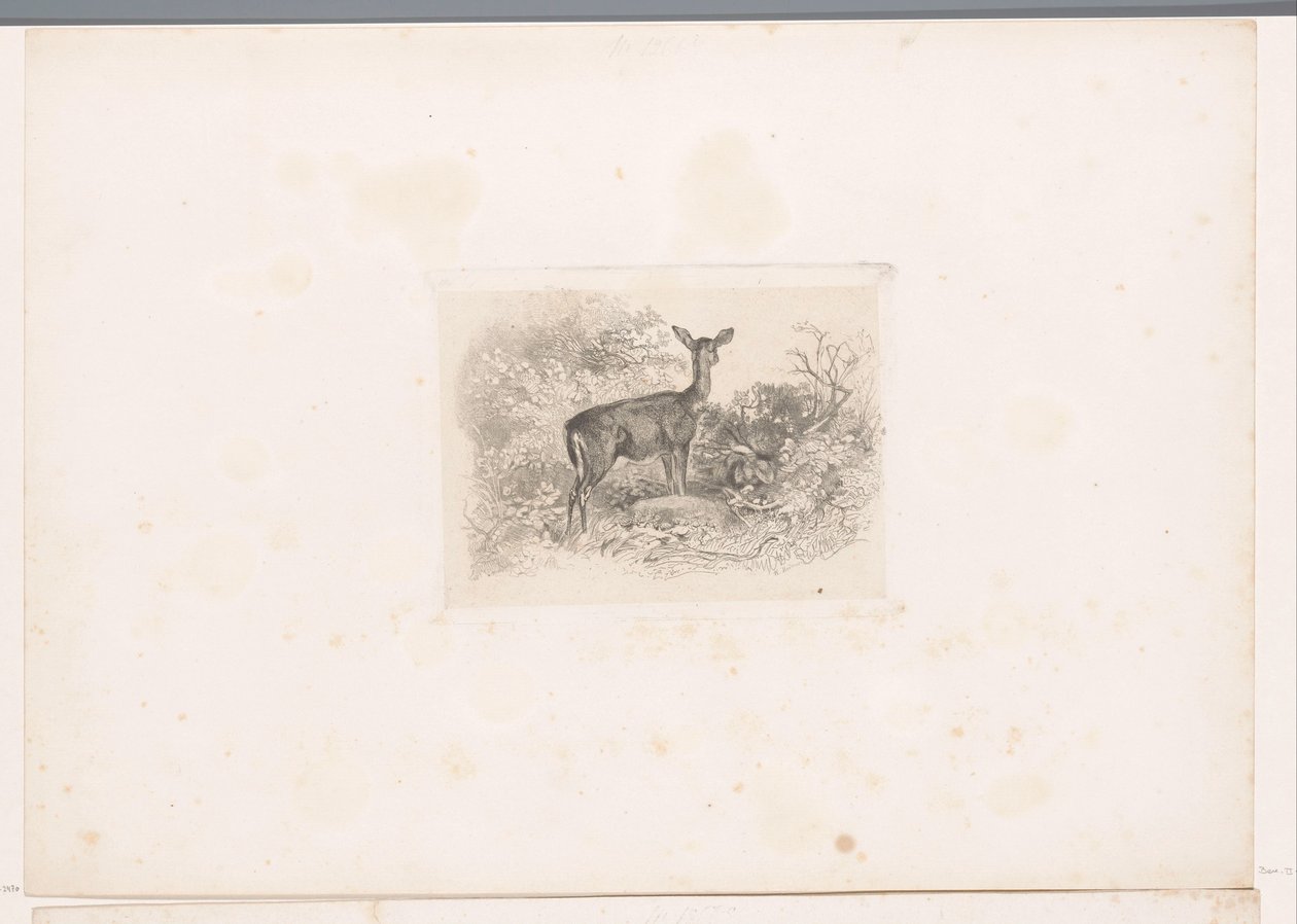 Hindú en el bosque Paisajes con animales (título de serie) de Karl Bodmer