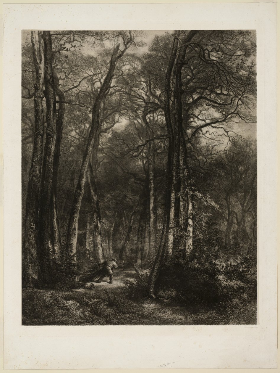 En el bosque de Karl Bodmer