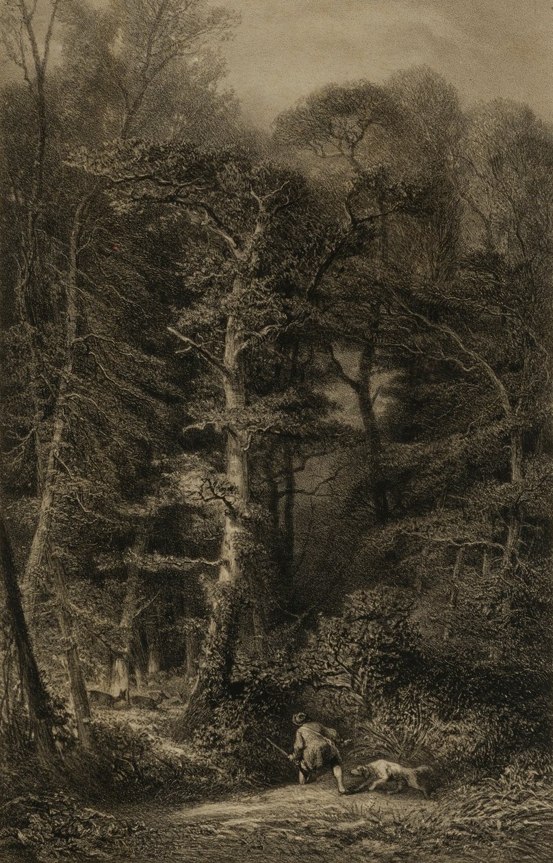 Interior del bosque de Karl Bodmer