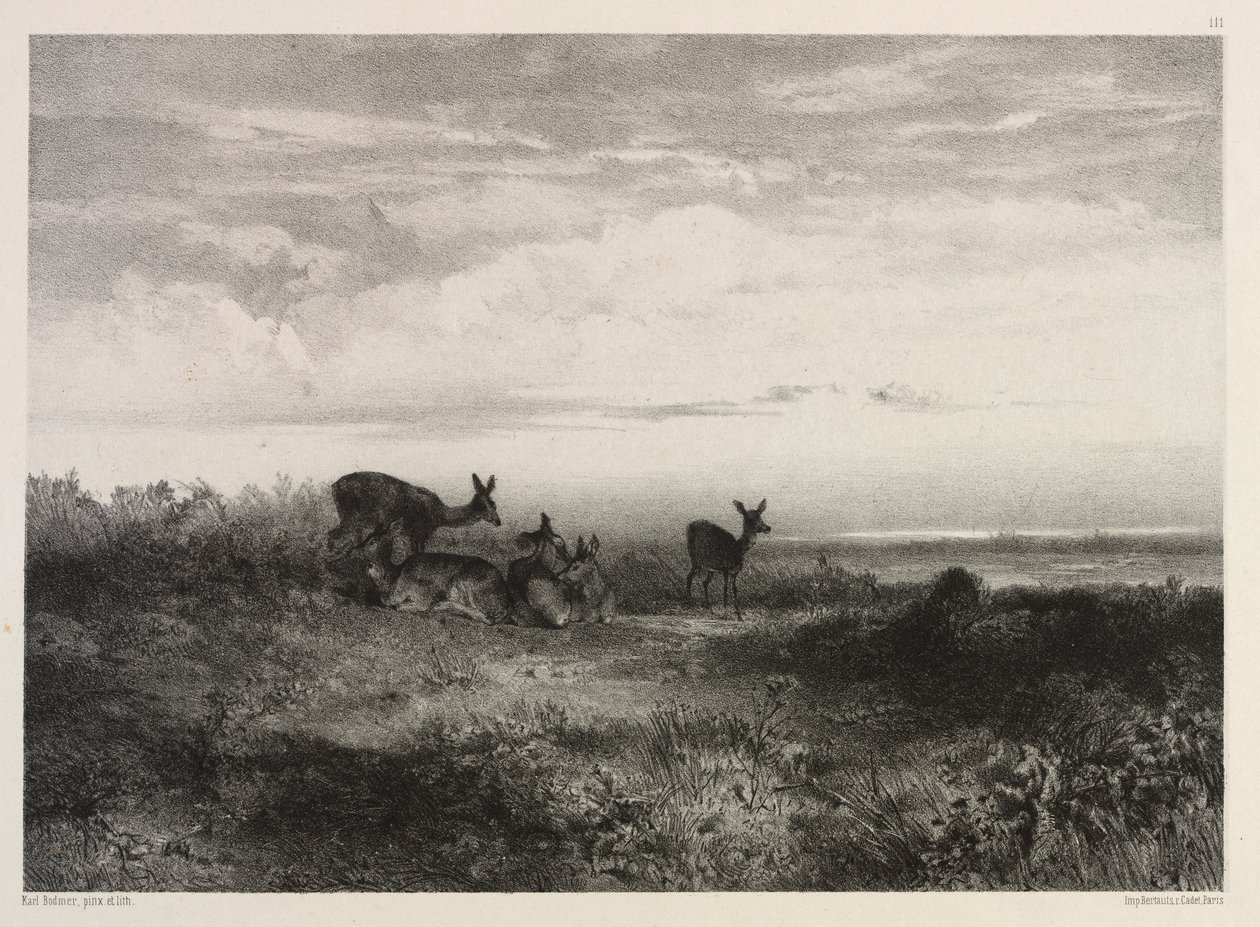 Paisaje con ciervos, c. 1840 de Karl Bodmer