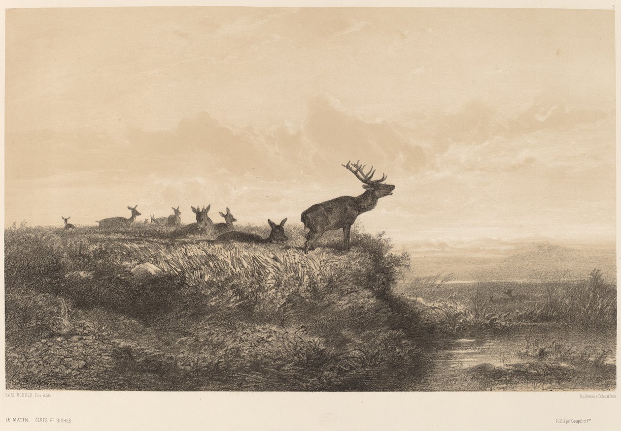 La mañana de Karl Bodmer