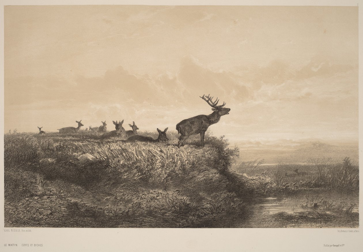 La mañana de Karl Bodmer