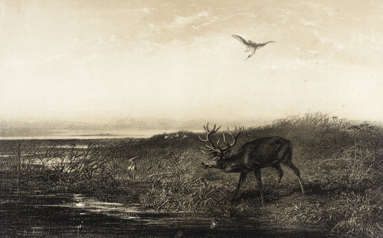 La tarde: ciervo y garzas de Karl Bodmer