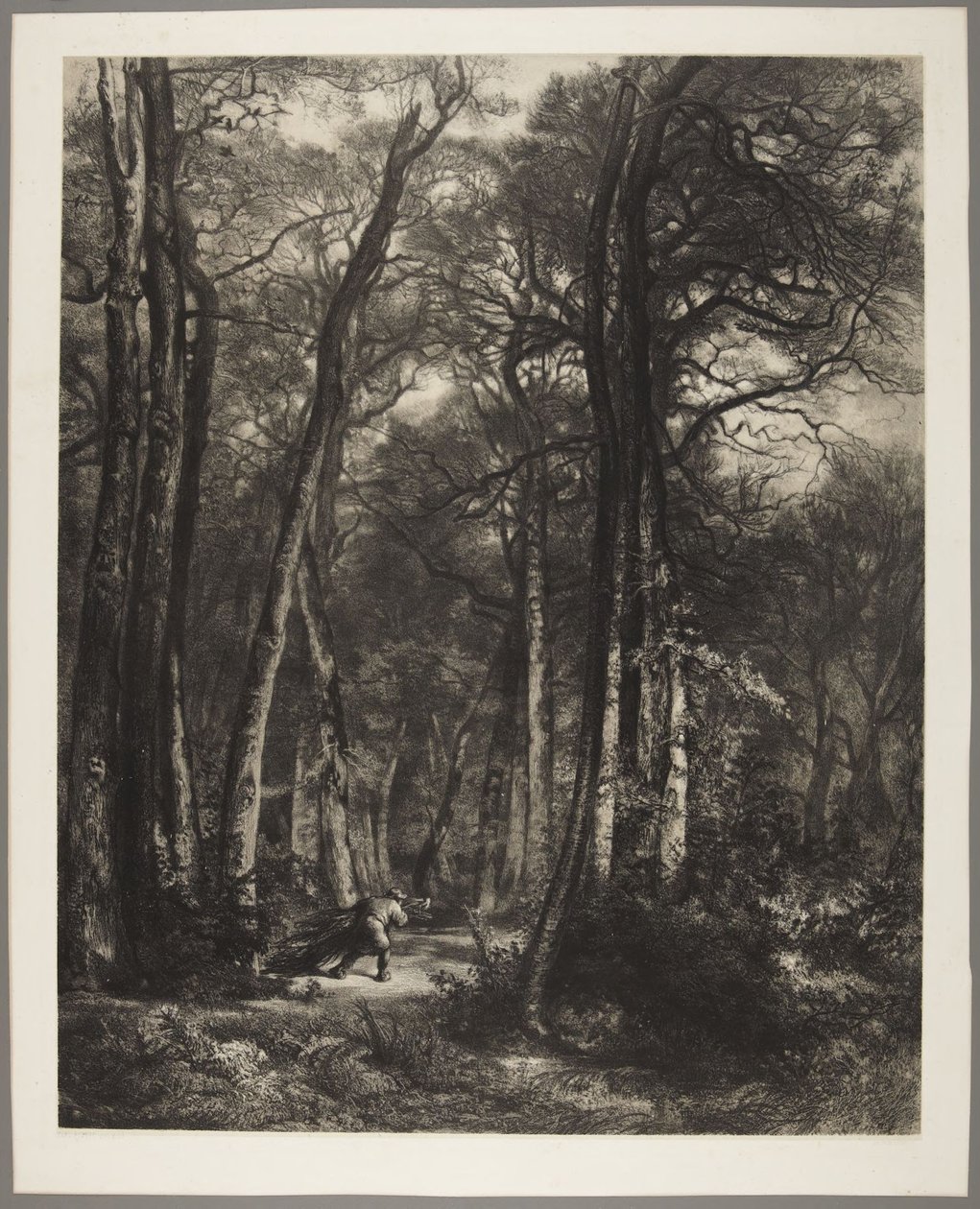 Un hombre en el bosque de Karl Bodmer