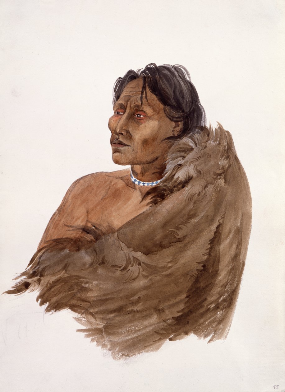  de Karl Bodmer